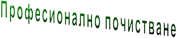 Професионално почистване 